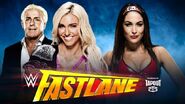 Charlotte (c) vs. Brie Bella for the WWE Divas Championship