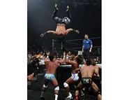 Royal Rumble 2006.43.jpg (30 KB)