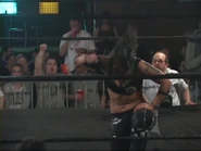 Shimmer 40.00021.jpg (34 KB)