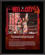 The Kabuki Warriors Hell in a Cell 2019 10 x 13 Commemorative Plaque