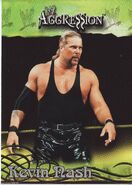 2003 WWE Aggression (Fleer) Kevin Nash (No.19)