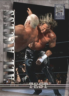 2002 WWF All Access (Fleer) Test 39