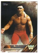 2016 WWE (Topps) Then, Now, Forever Ricky Steamboat (No.191)