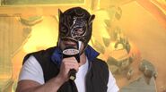 CMLL Informa (May 31, 2017) 14