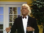 May 8, 1993 WCW Saturday Night 14.jpg (70 KB)