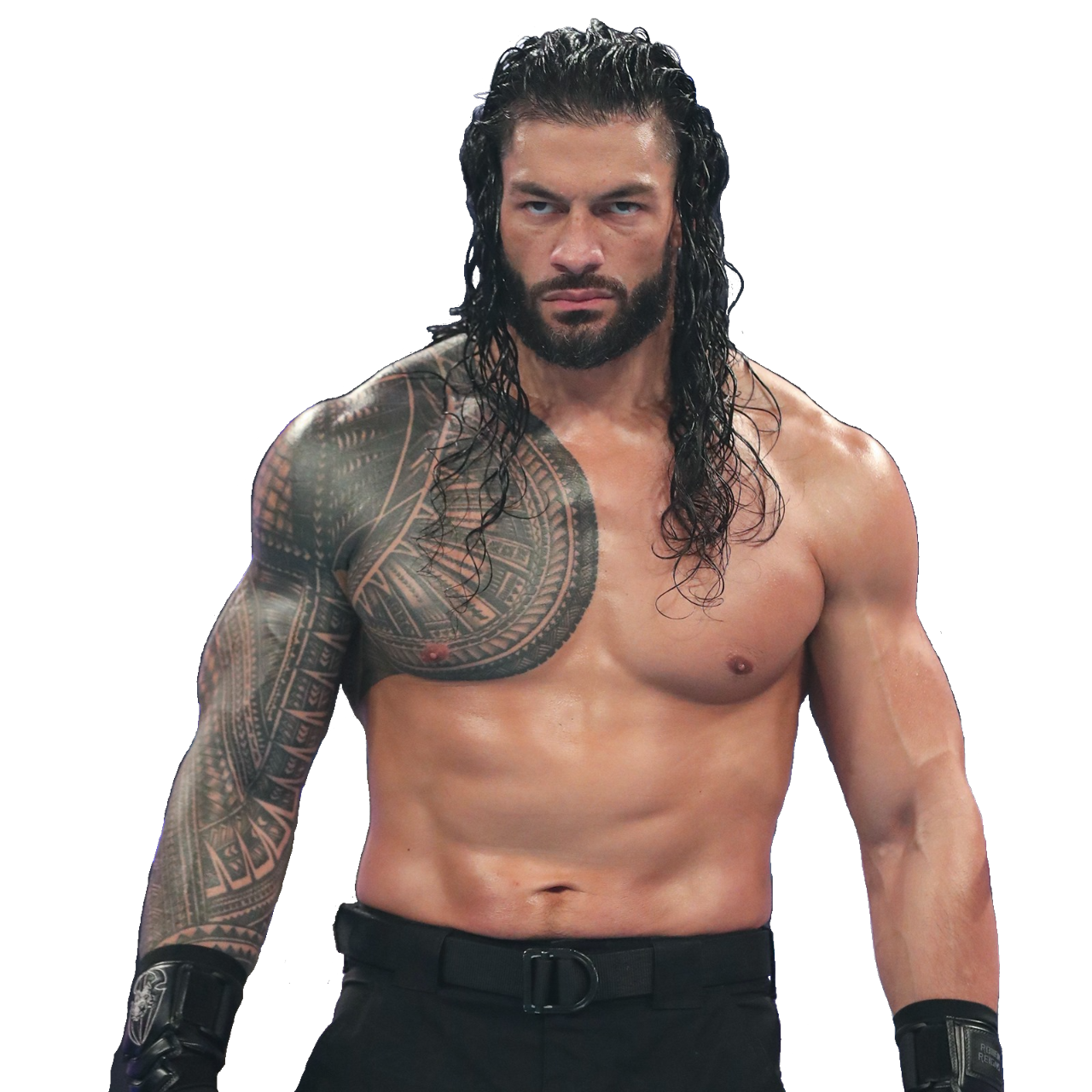 My simple 5 step booking plan to get Roman Reigns cheered