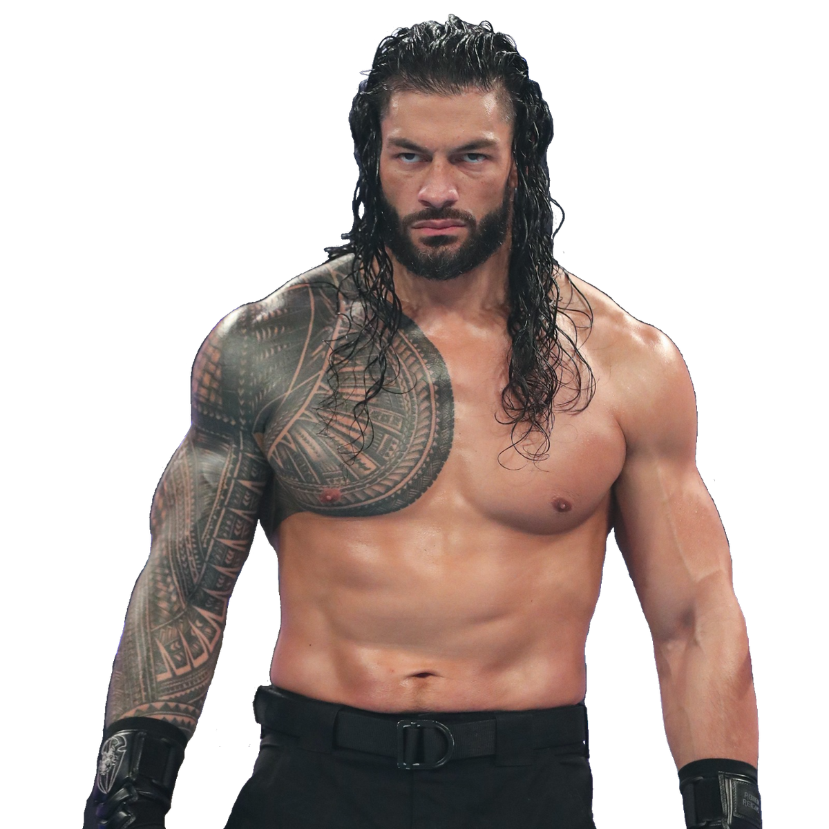 wwe roman reigns