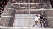 Steel Cage Images.21