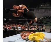 SummerSlam 2006.9.jpg (44 KB)