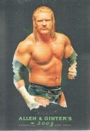 2008 WWE Heritage III Chrome (Topps) (Allen & Ginter) Triple H 4