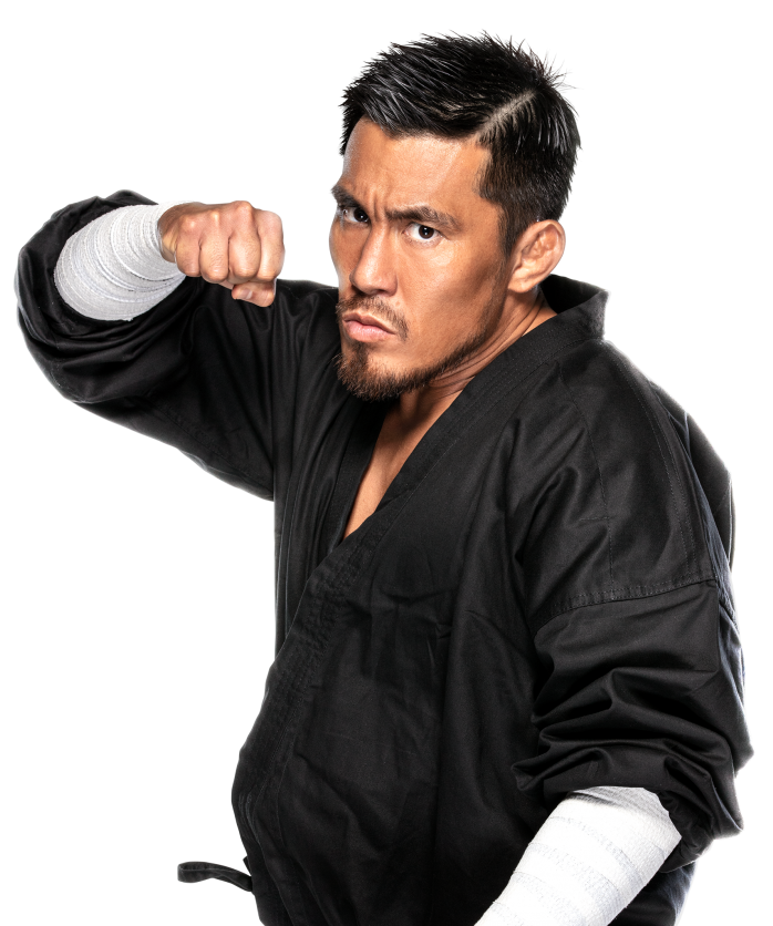 Akira Tozawa Pro Wrestling Fandom
