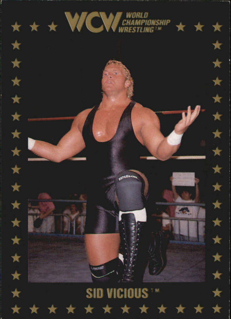 1991 WCW Trading Cards (Championship Sid Vicious (No.19) | Pro Wrestling | Fandom