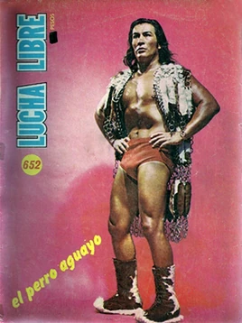 Lucha Libre 652