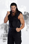 Roman reigns 8