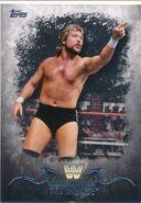 2016 Topps WWE Undisputed Wrestling Cards Ted Dibiase (No.74)