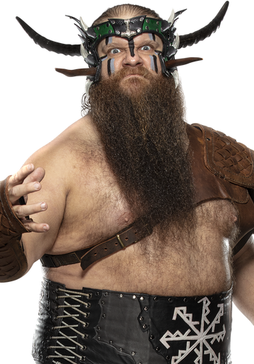 Hanson wwe cheap