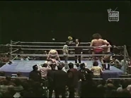 March 24, 1980 MSG.00065.jpg (25 KB)