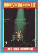 1987 WWF Wrestling Cards (Topps) And Still Champion 56