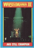 1987 WWF Wrestling Cards (Topps) And Still Champion (No.56)