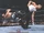 2003 WWE WrestleMania XIX (Fleer) Chuck (No.14)