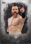 2016 Topps WWE Undisputed Wrestling Cards Sheamus 33