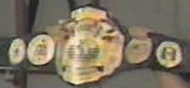 ECW Pennsylvania Championship | Pro Wrestling | Fandom