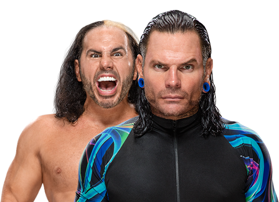 The Hardy Boyz, Pro Wrestling
