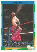 1995 WWF Wrestling Trading Cards (Merlin) Kwang 124