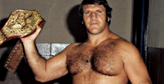 Bruno Sammartino 3