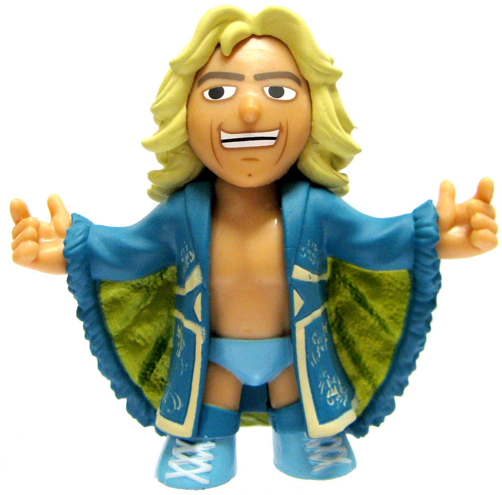 Wwe mystery minis series 1 2025