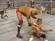 WrestleWar 1991.00049.jpg (23 KB)