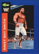 1991 WWF Classic Superstars Cards Davey Boy Smith 19