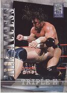2002 WWF All Access (Fleer) Triple H (No.11)