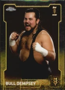 2015 Chrome WWE Wrestling Cards (Topps) Bull Dempsey (No.94)