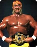 HulkHoganWWFChamp2