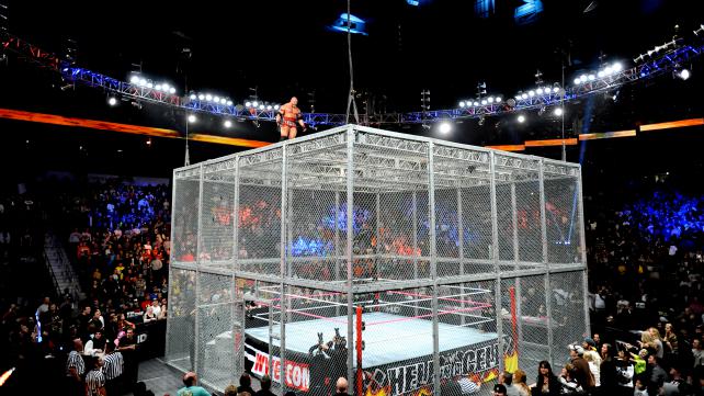 hell in a cell cage