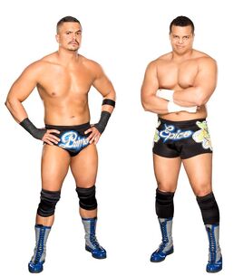 WWETheColons