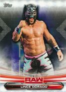 2019 WWE Raw Wrestling Cards (Topps) Lince Dorado 45