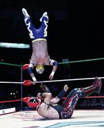 CMLL Martes Arena Mexico 10