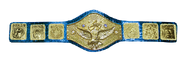 Purple strap variation of WWWF Title used by both Billy Graham and Bob Backlund (1977-1983)