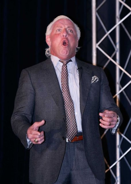 Ric Flair, Wiki Pro Wrestling