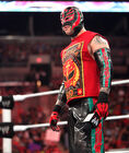 Rey Mysterio (86)