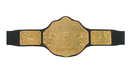 World Heavyweight Championship (WWE) (2003-2013)