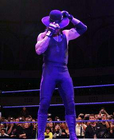 Undertaker (87)