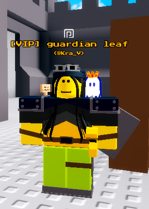 From 1-10 how much do you want to kill this noob : r/RobloxAvatars