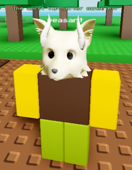 Based on Prtty much evry bordr gam evr on Roblox : r/virginvschad