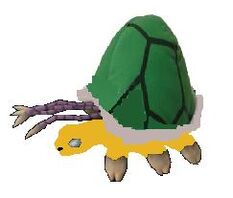 Warped tortoise