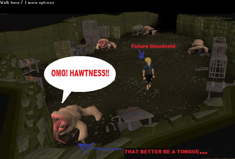 Bloodveld - The RuneScape Wiki