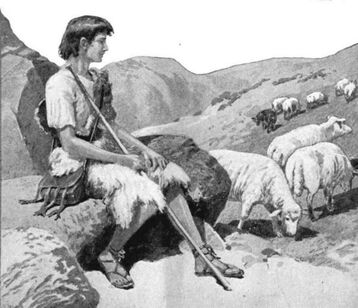 Shepherd boy