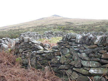 Ruined enclosure wall